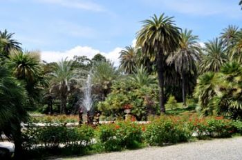 Giardini Villa Ormond Immagini Giardini Villa Ormond Immagini