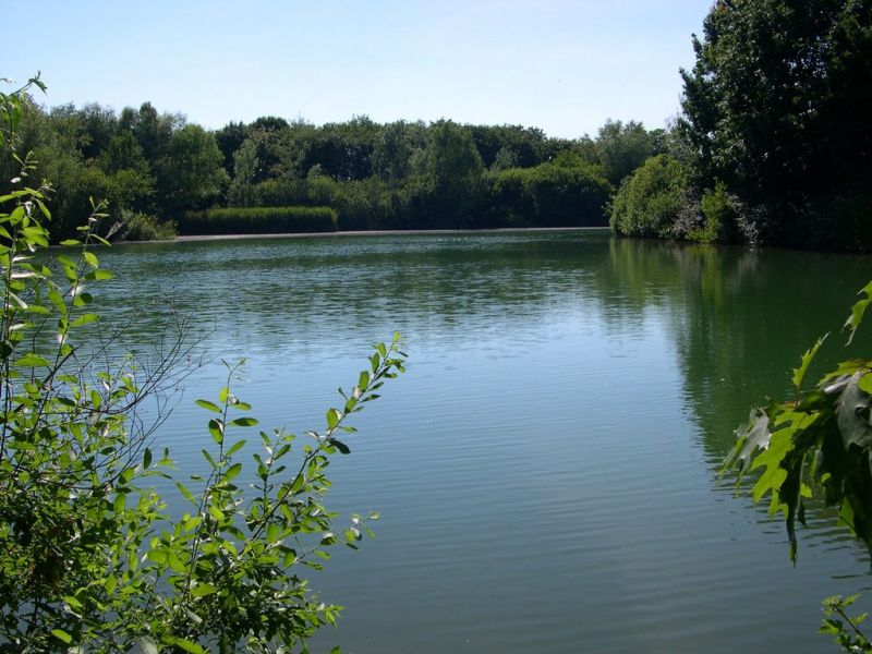 Related image